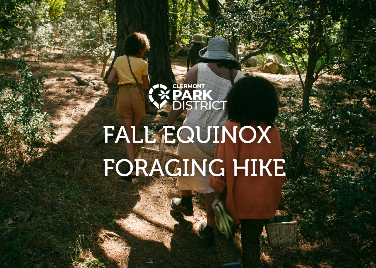 fall equinox foraging hike